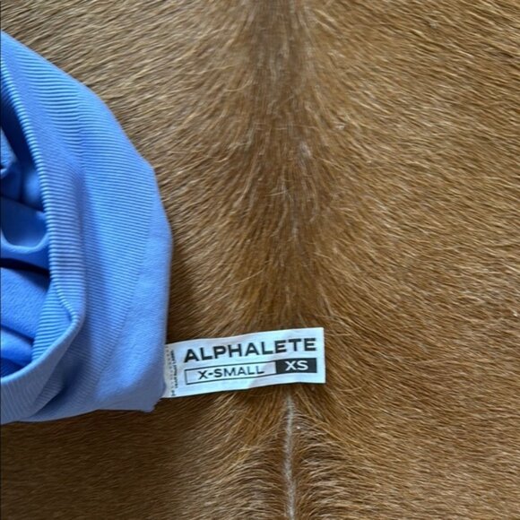 Alphalete Amplify shorts in Digital Violet - Picture 3 of 3